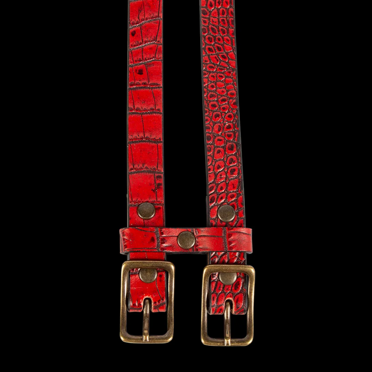 Double Belt